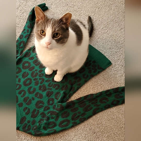 💜🖤💚 Shop my fabulous, ever growing closet! 💜🖤💚 - Picture 8 of 10